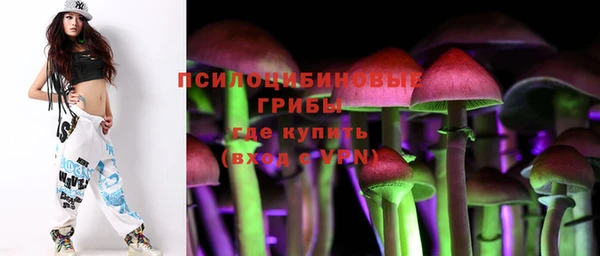 a pvp Алексин